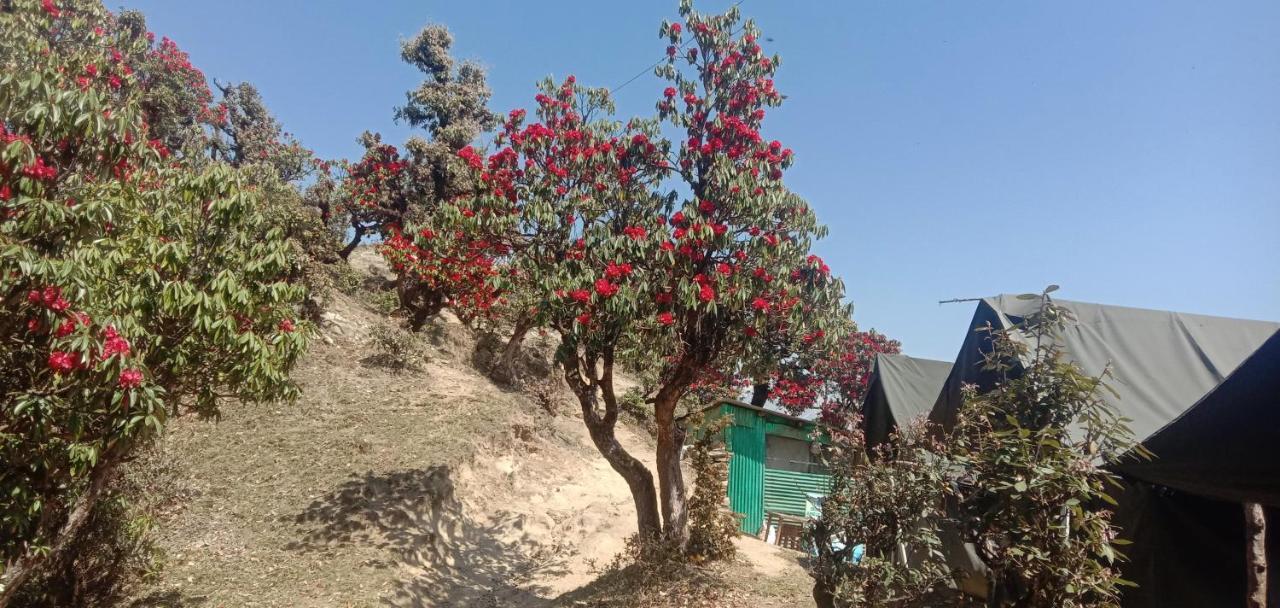 Chandarshila Hike Homestay Ukhimath エクステリア 写真