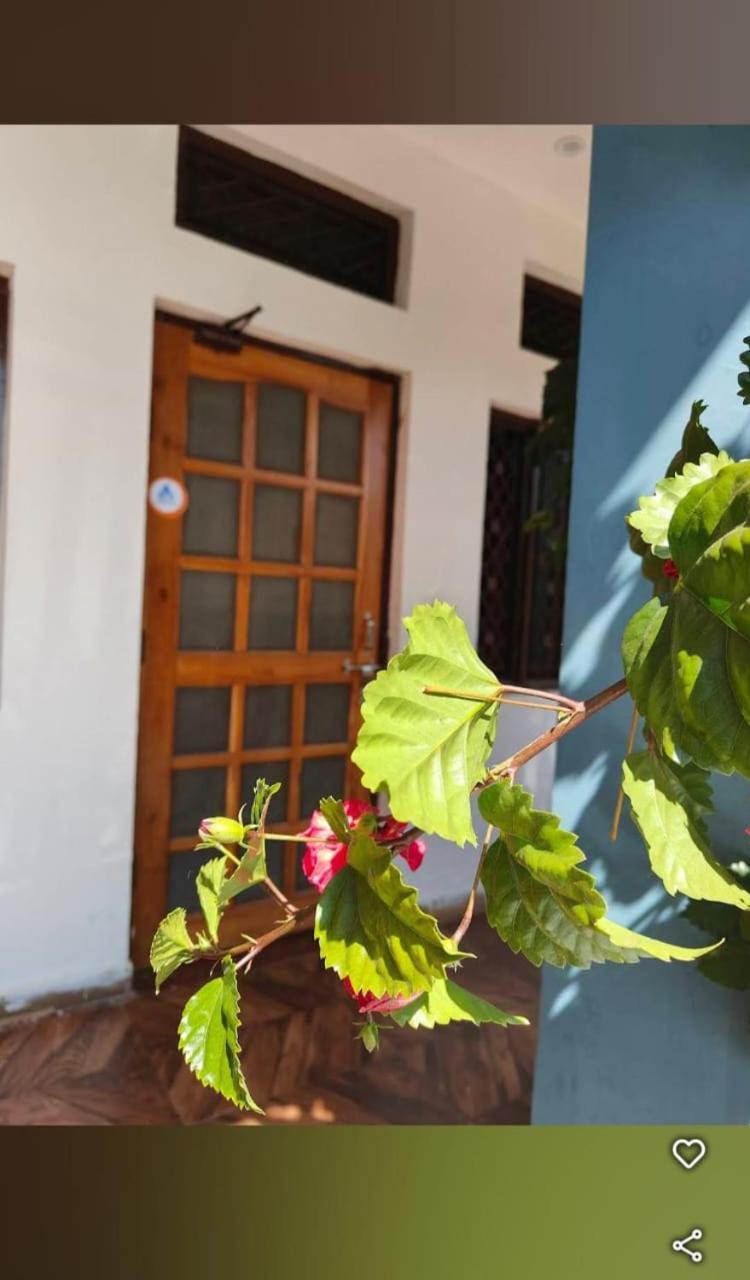 Chandarshila Hike Homestay Ukhimath エクステリア 写真